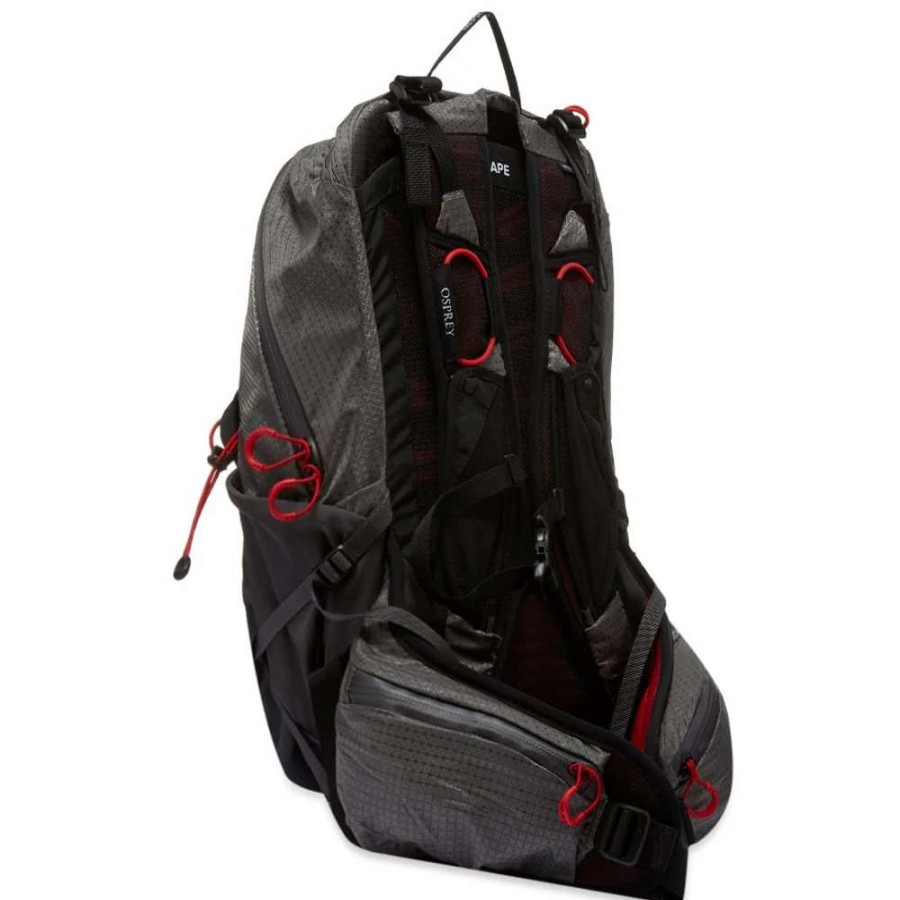 Accessories * | Osprey Talon Pro 20 Backpack