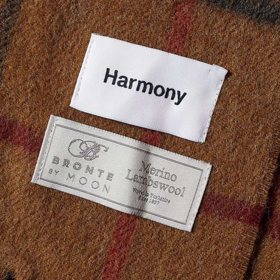 Accessories * | Harmony Arty Tartan Scarf